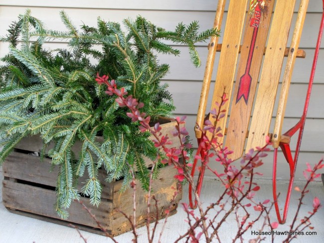 Free source for pine boughs for Christmas decorating