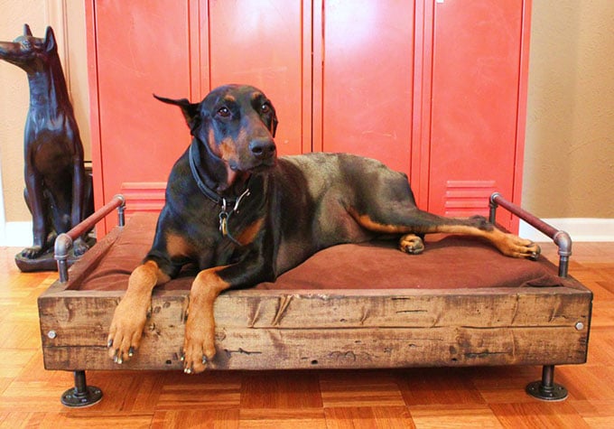 Industrial pipe dog bed