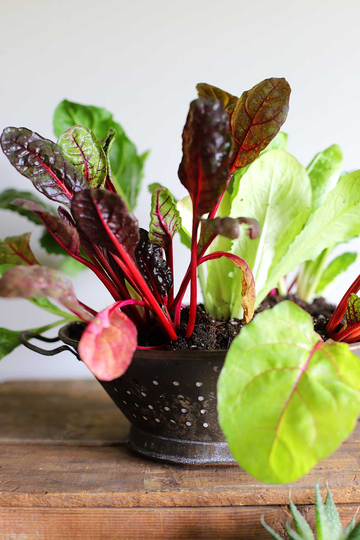 Repurposed Kitchen Colander