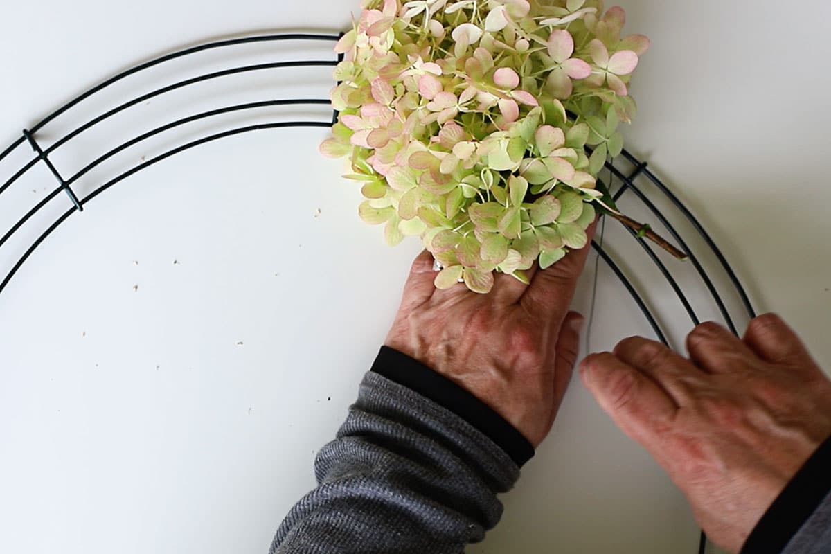 creating hydrangea wreath