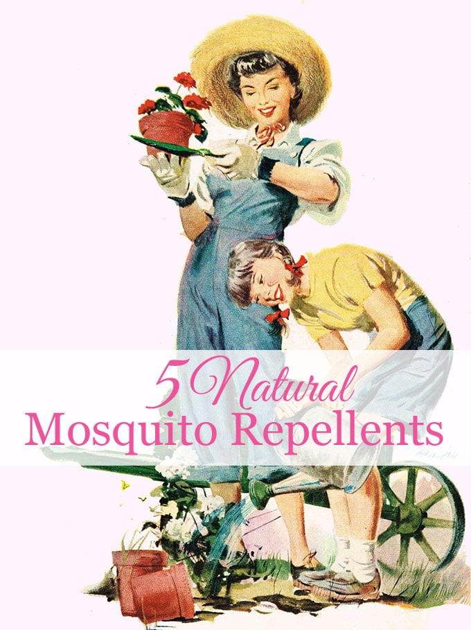 Natural ways to repel mosquitoes without bug spray, including plants that repel mosquitoes, DIY mosquito repellent recipe, and homemade citronella candles.