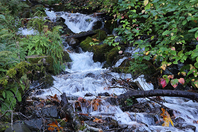 Falls in Columbia River Gorge Oregon