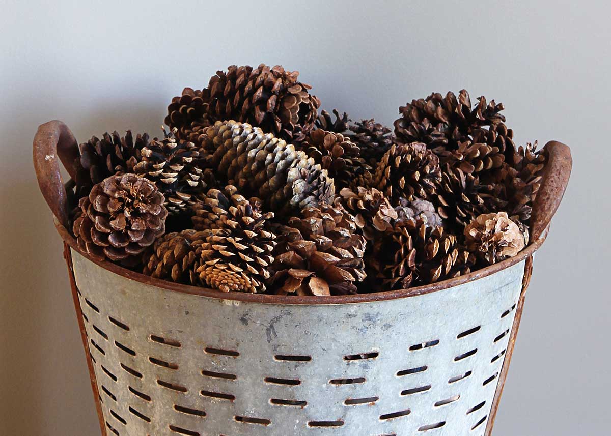 pine cones in winter home decor