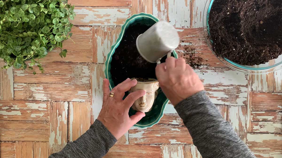 Filling bowl with potting soil.