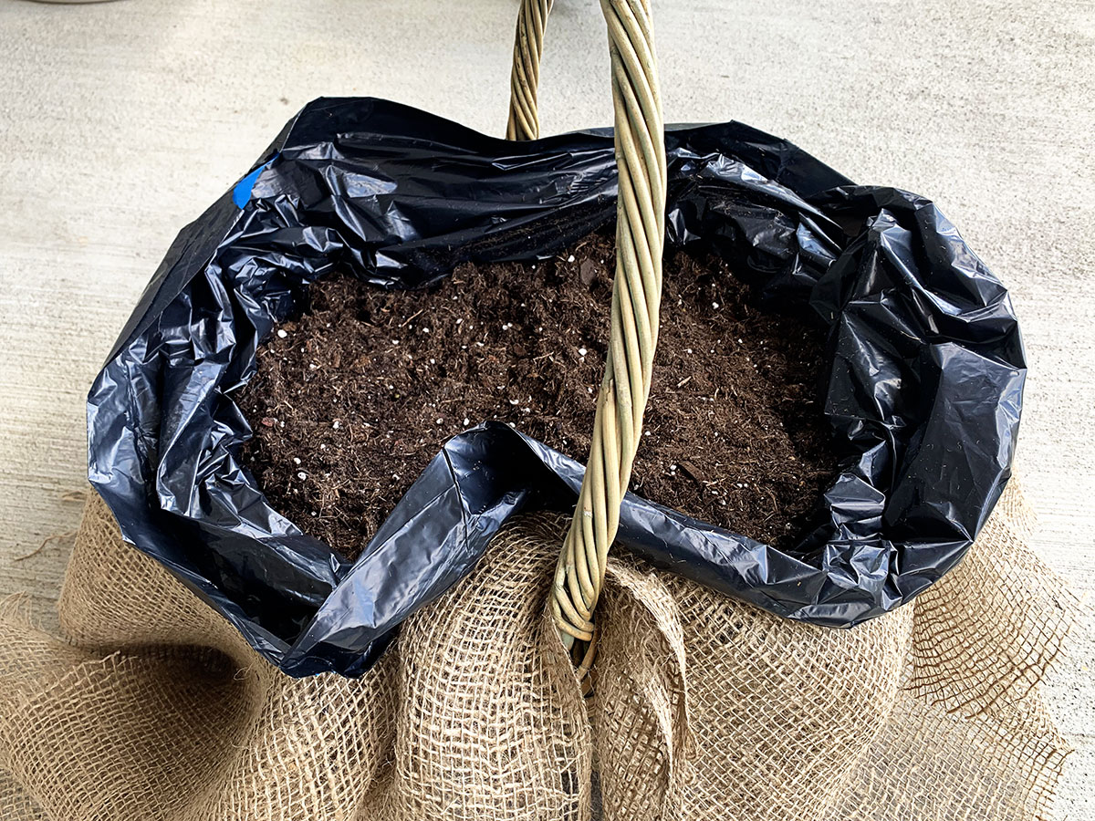 Adding potting soil to the spring container garden.