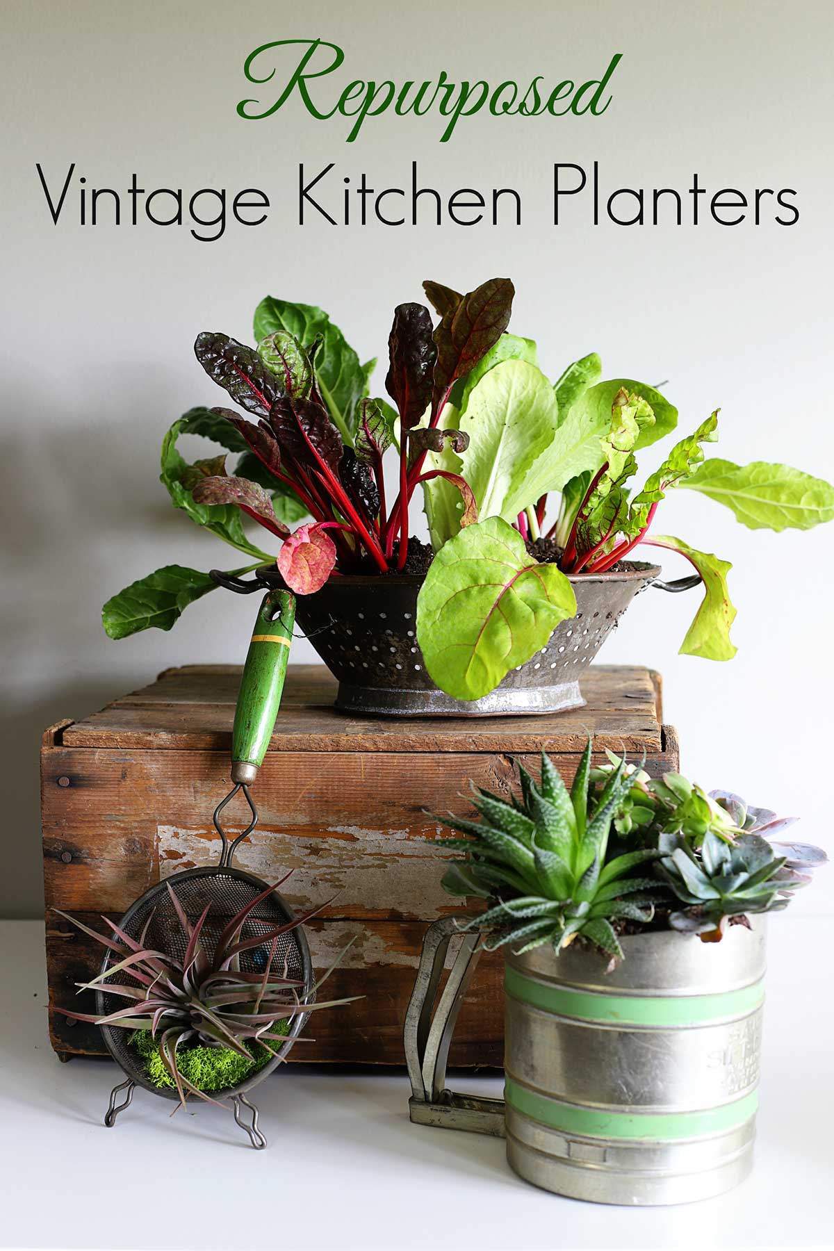 Repurpose kitchen utensils