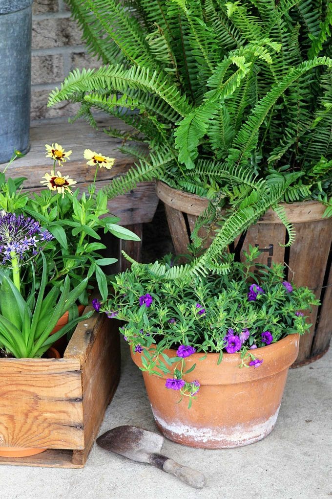 Farmhouse style planters