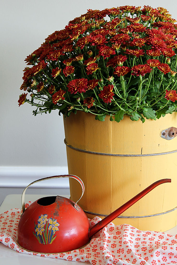 An old yard sale ice cream maker is turned into a rustic wooden planter with the help of chalk paint. A great way to upcycle a common thrift store find!