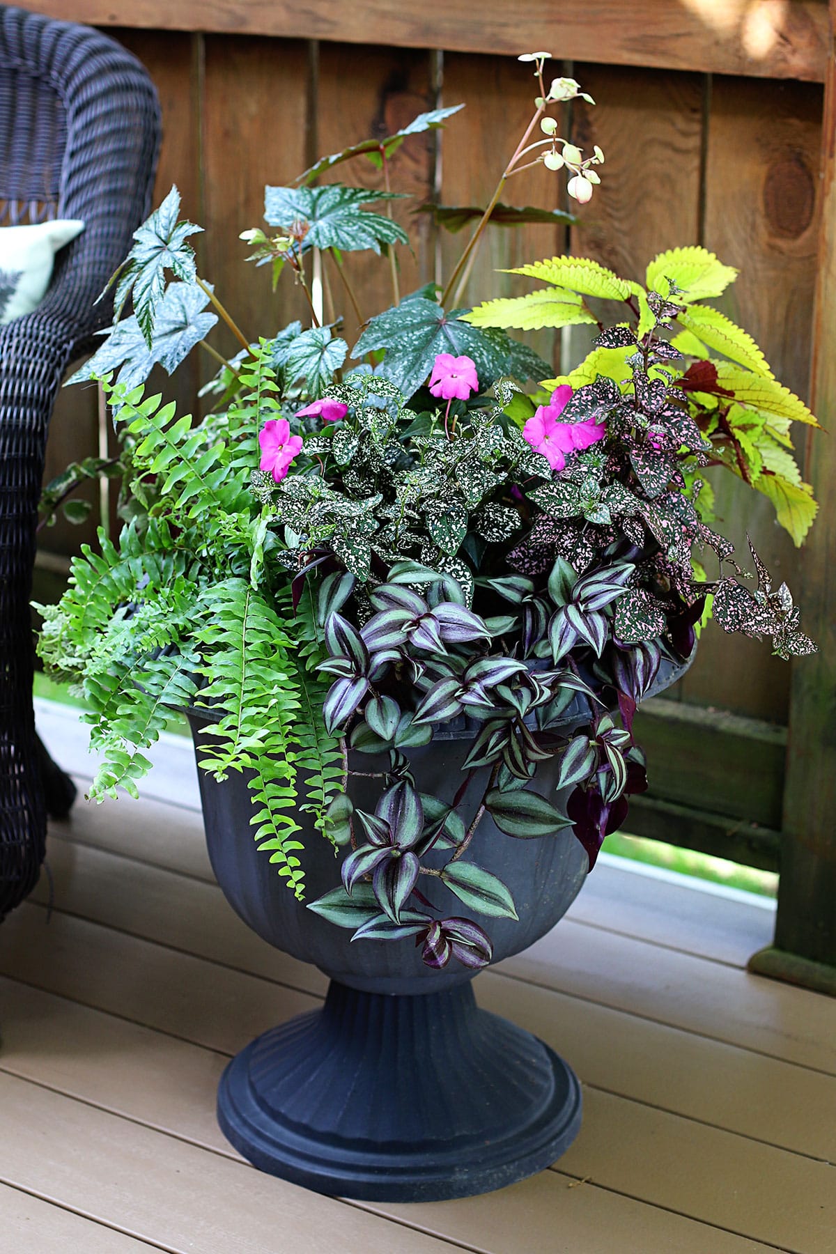 Colorful and lush planter for your front porch using shade-loving plants. 