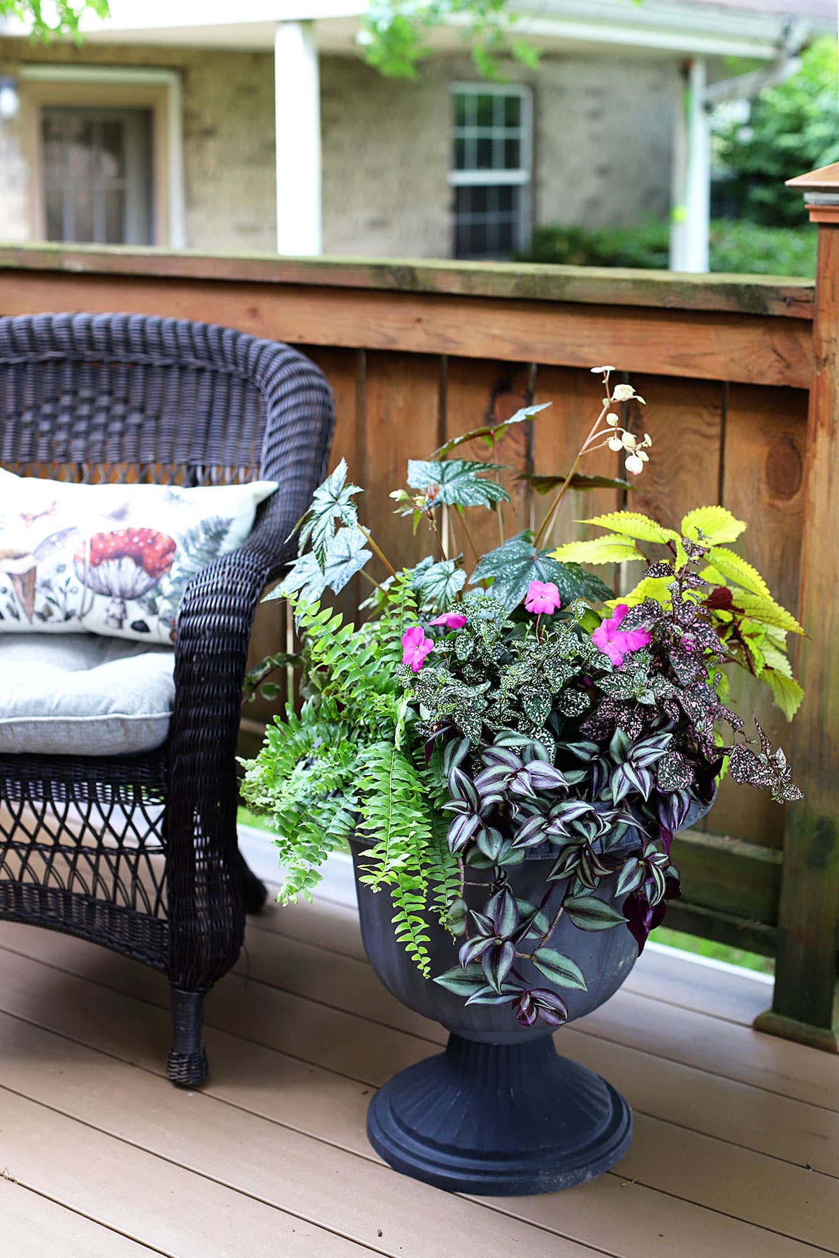 Shade-loving plants in a colorful and lush planter. Ferns, begonias and coleus among other plants with a pop of pink from a SunPatiens. 