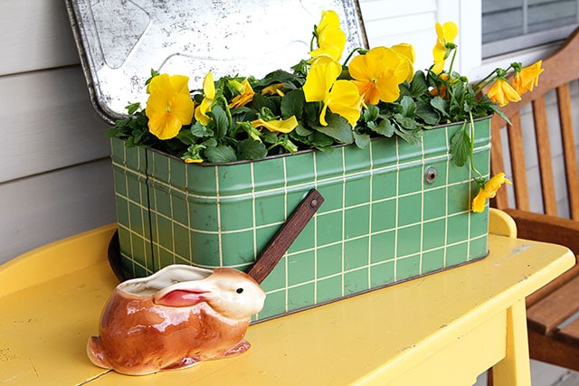 Pansies in a vintage metal picnic basket 