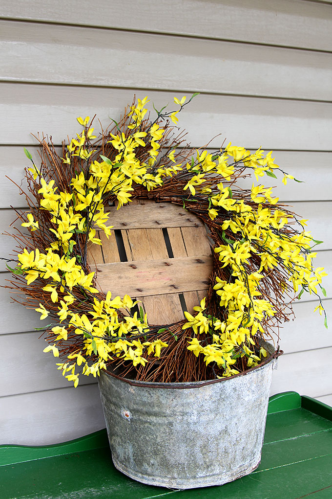 Forsythia wreath placed in a galvanized bucket for budget friendly spring porch decorations