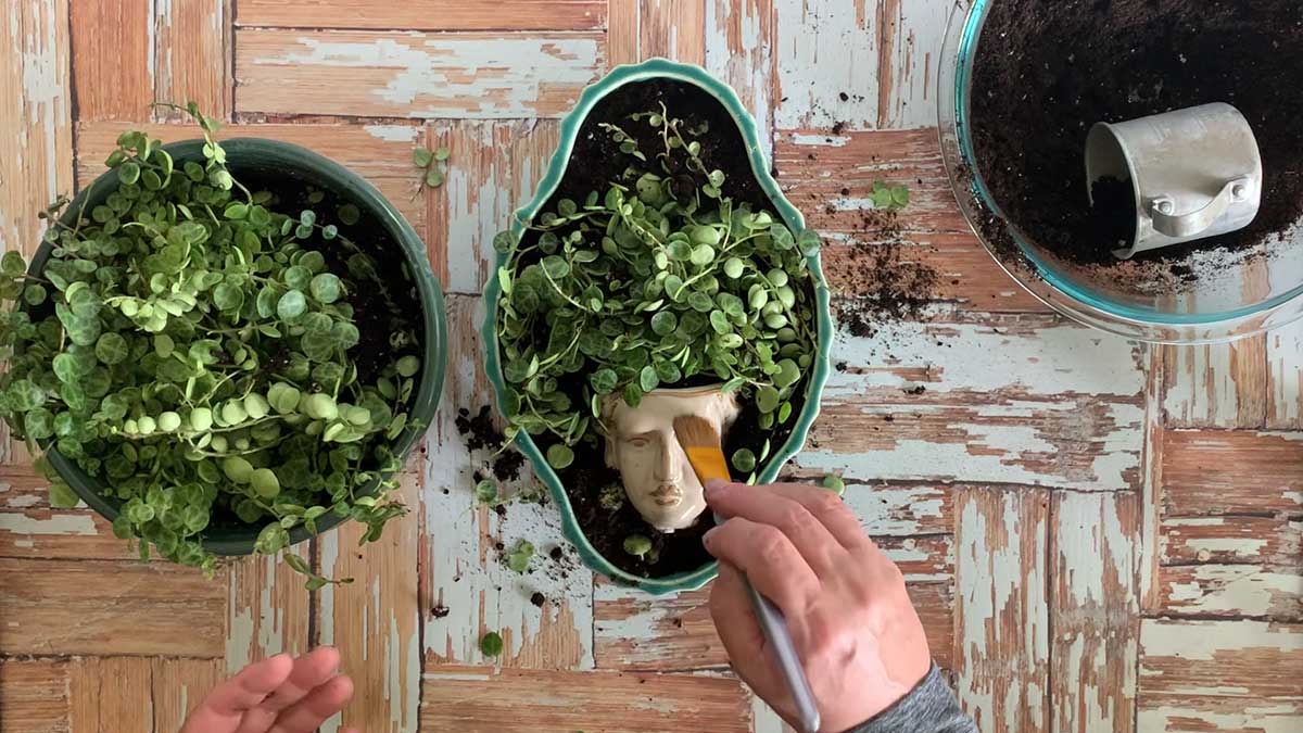 Using small paintbrush to brush away stray dirt on planter.