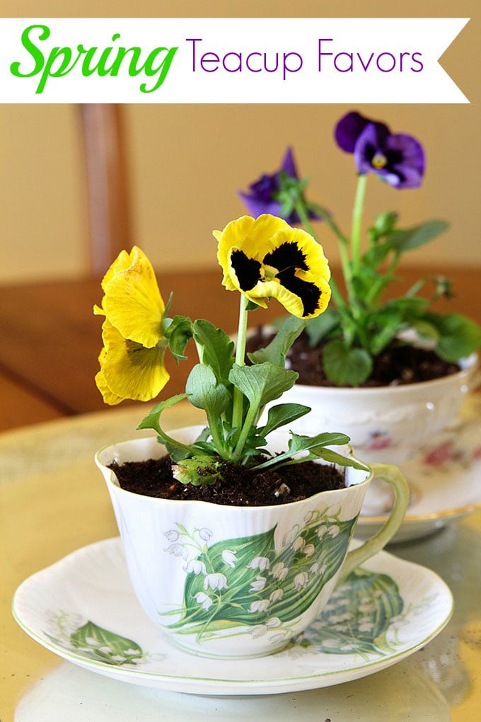 How to make quick and easy spring teacup table decorations. This inexpensive and simple table decor idea is perfect for Easter or Mother's Day and would make creative favors or table number holders for weddings too!