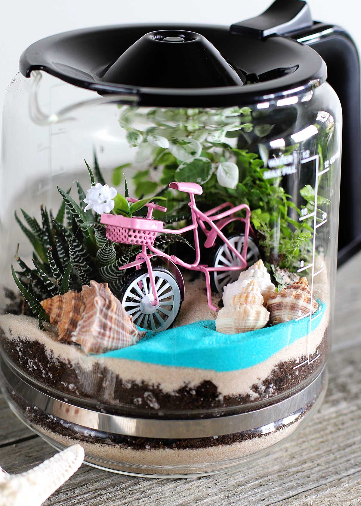 repurposed coffee pot terrarium tutuorial