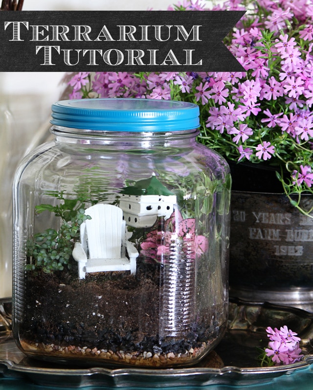 Terrarium tutorial - vintage looking terrarium made out of glass cracker jar from Walmart