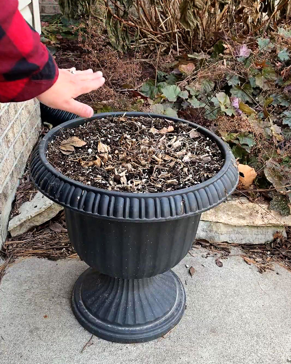 Urn being used as a simple Christmas planter for the porch.