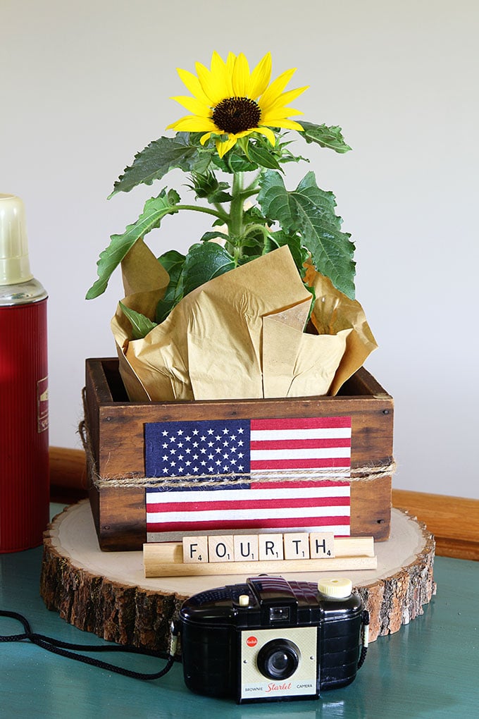 Sunflower and flags