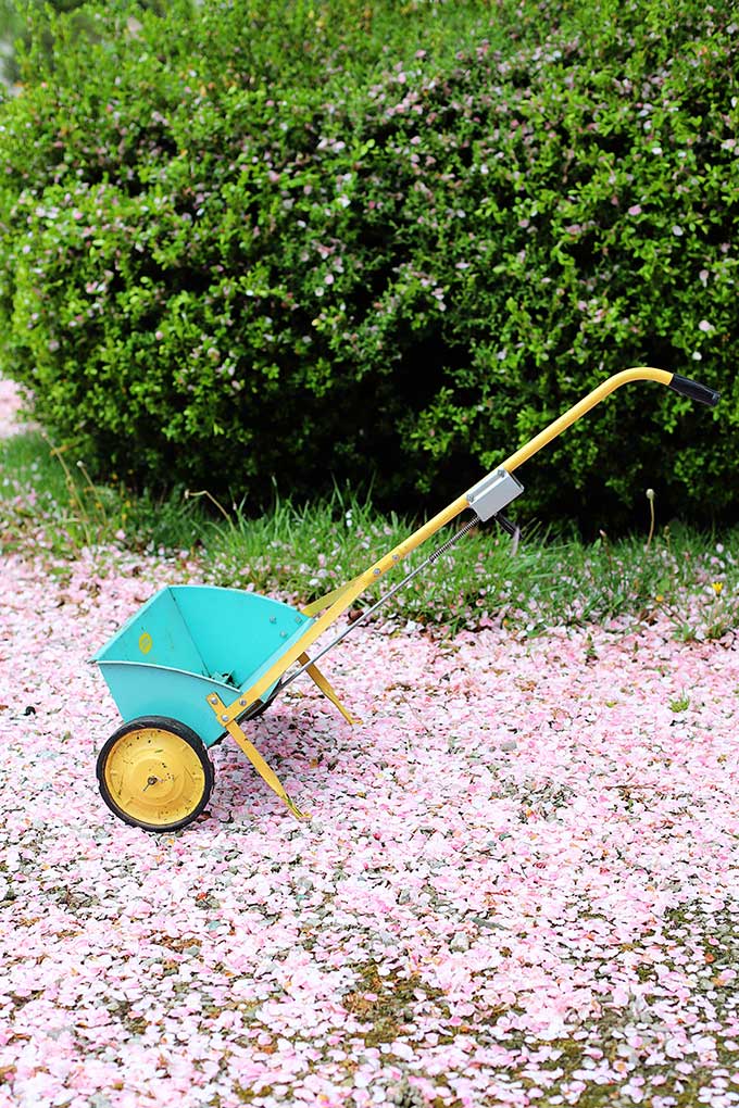 Vintage Cross Country Seed And Fertilizer Spreader from Sears Roebuck