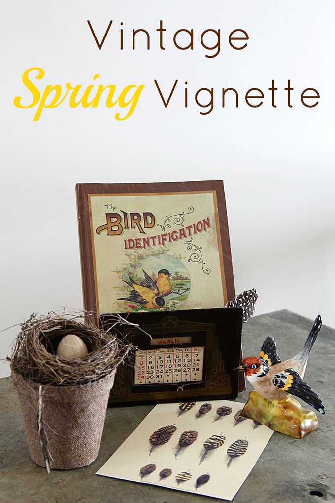 A quick and easy spring DIY project creating a vignette using vintage bird nest home decor. Abandoned nests can be found in the wild or at your local craft store.