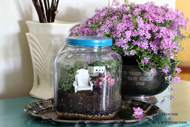 Terrarium tutorial - vintage looking terrarium made out of glass cracker jar from Walmart