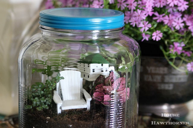 Terrarium tutorial - vintage looking terrarium made out of glass cracker jar from Walmart.