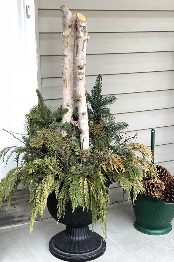 Winter greens on the porch