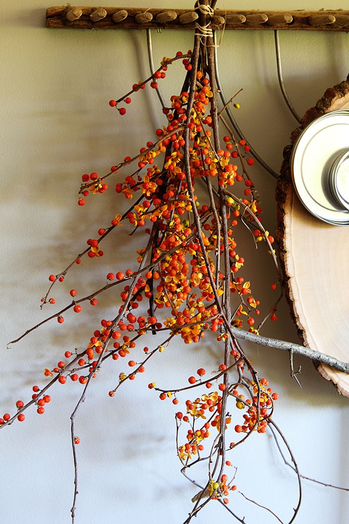 What a hoot! This adorable owl is a super QUICK and EASY DIY wood slice project for fall home decor or any time of the year. A ten minute craft for kids.